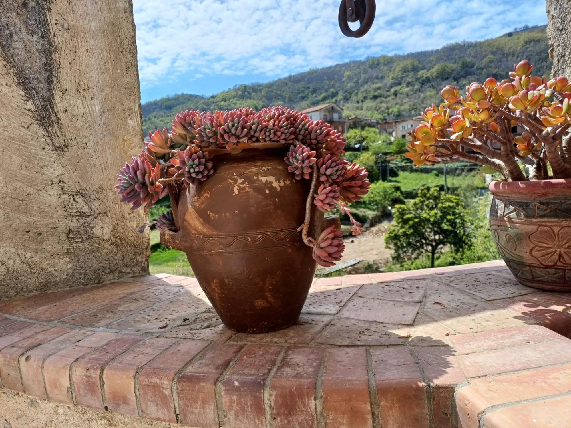Country House B&B Antica Dimora Del Sole Camerota Exterior photo